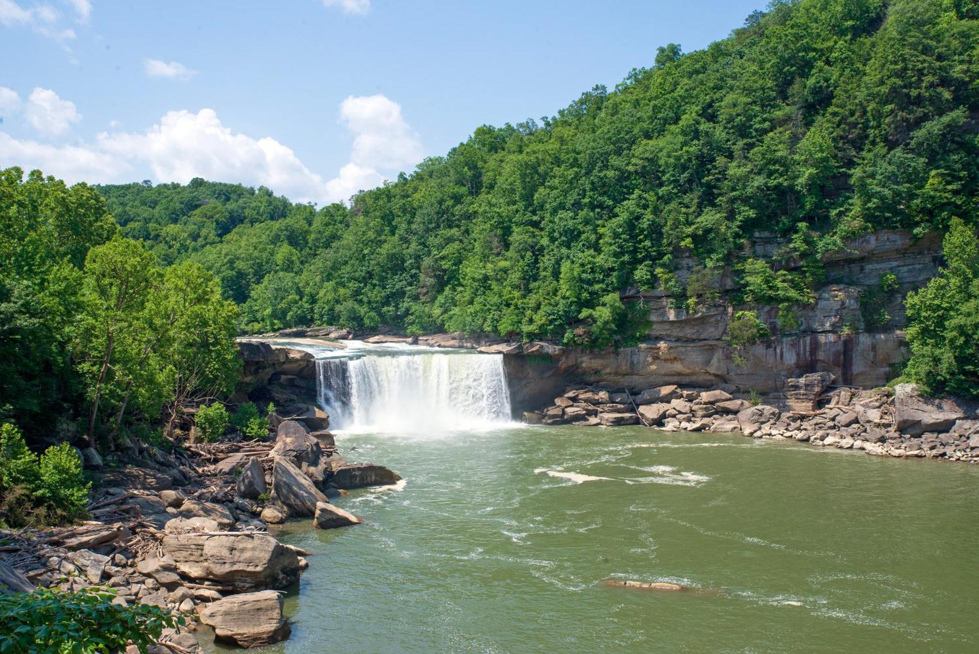Cumberland Falls State Resort Park Honeybee Luaran gambar